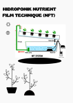 Hidroponik Nutrient Film Technique (NFT), Solusi Sistem Pertanian di Lingkungan Perkotaan