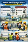 Seperti Apa Magang di PLN? Gambaran Kegiatan Mahasiswa dan Siswa SMK Praktik Kerja di Gardu Induk