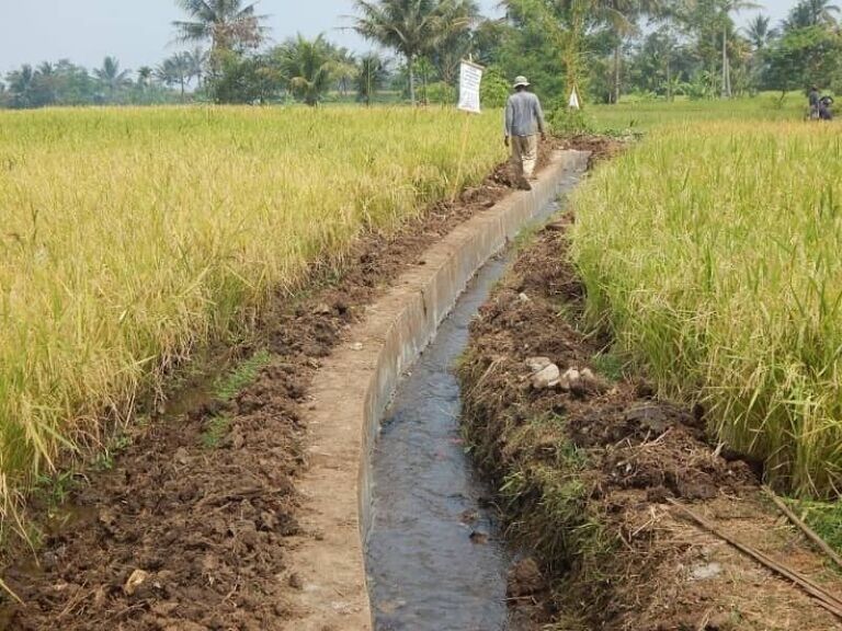 pengairan sawah