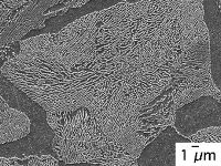 Pearlite dalam Baja: Struktur Mikro Berlapis yang Menentukan Kekuatan Material
