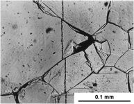 Batas Butir (Grain Boundary) dalam Struktur Mikro Logam