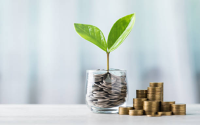5 Macam Investasi Sederhana untuk Pemula Mahasiswa