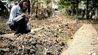 Teknik Evaluasi Penurunan (Settlement) pada Tanah Gambut