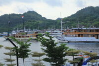 Analisis Kelelahan (Fatigue) pada Struktur Kapal Pinisi Akibat Beban Gelombang Berulang