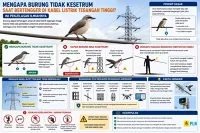 Mengapa Burung Tidak Kesetrum Saat Bertengger di Kabel Listrik Tegangan Tinggi?